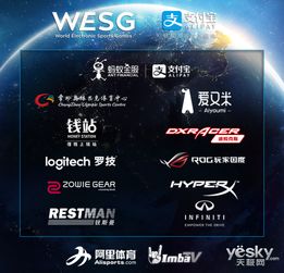 wesg全球总决赛选手专访 clhuang