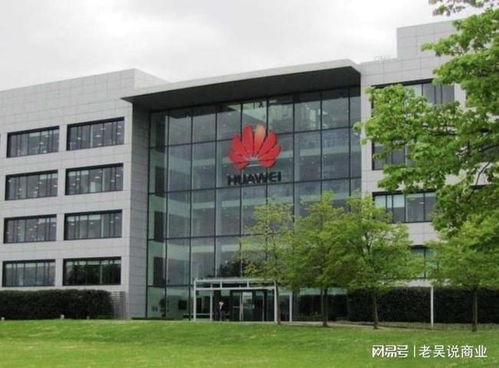 华为将从民企的首位跌落,新王者达到华为所没有达到的高度