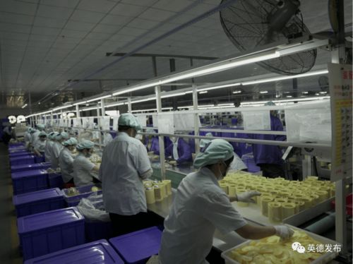 英德锐英科技 疫情下的自救与转型，从代工测温枪到军工厂的华丽转身